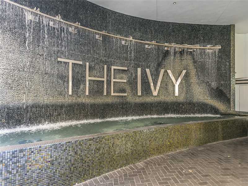 The Ivy